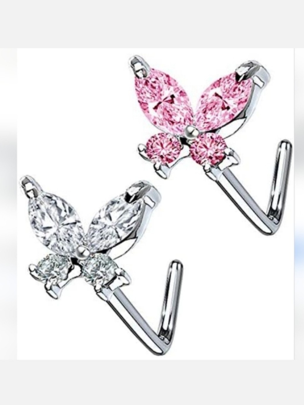 2 Nose Rings